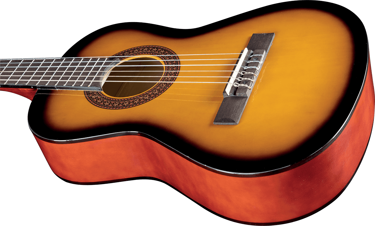 CS-2 1/2 Sunburst + Gig Bag