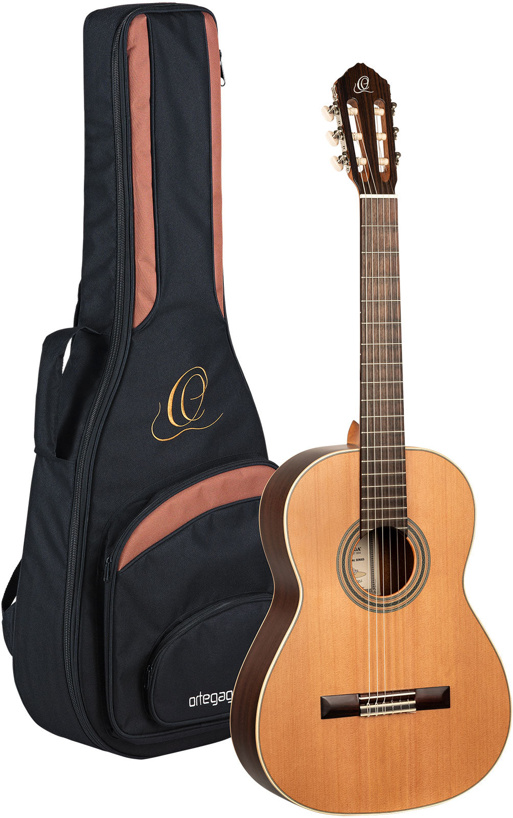 Traditional 4/4 + Pro Gig Bag