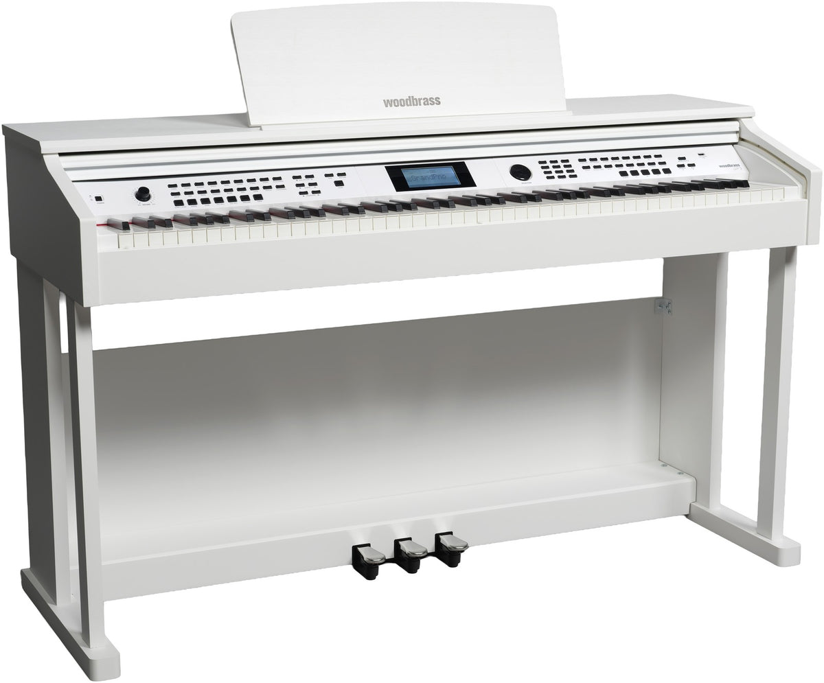 Pack DP3 White