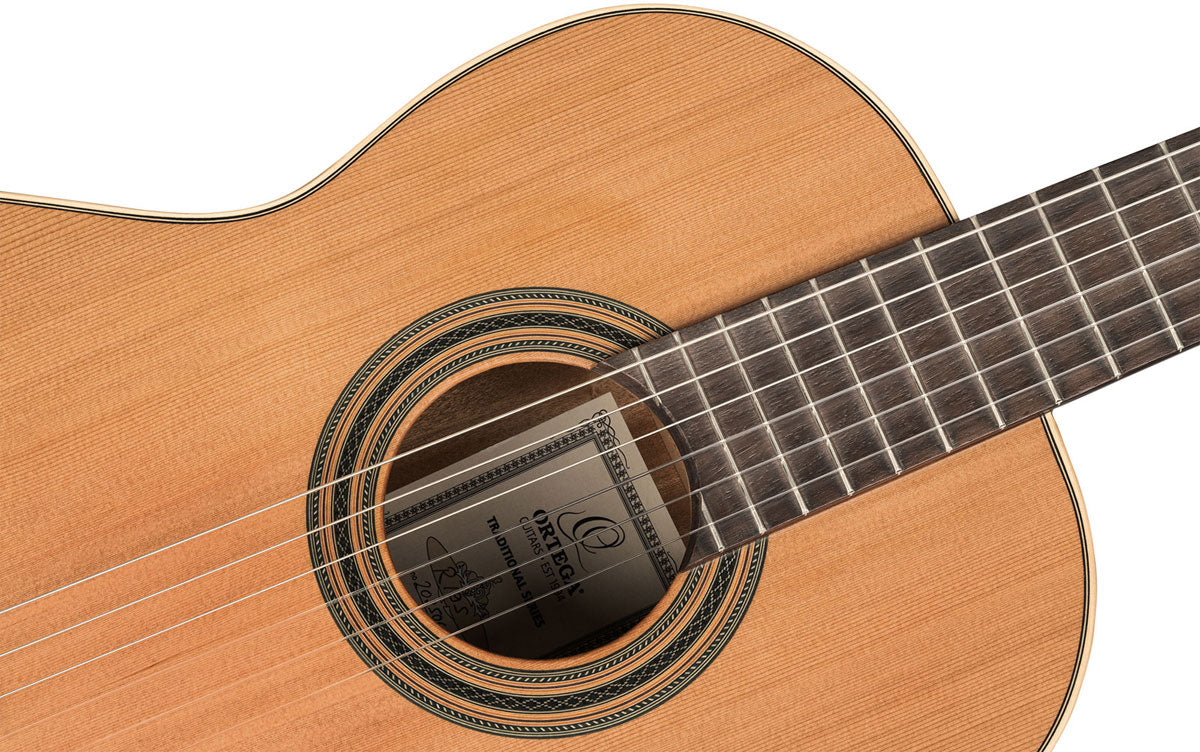 Traditional 4/4 + Pro Gig Bag