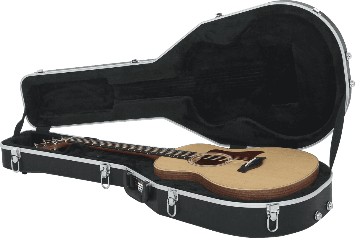 GS Mini Deluxe Case - GC