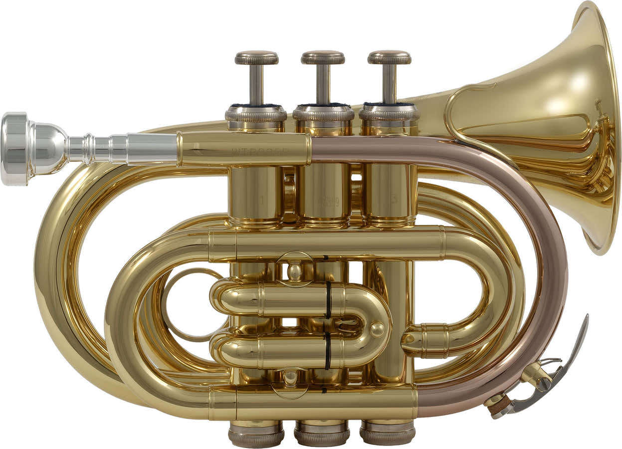 WTP200P - Bb Vernished