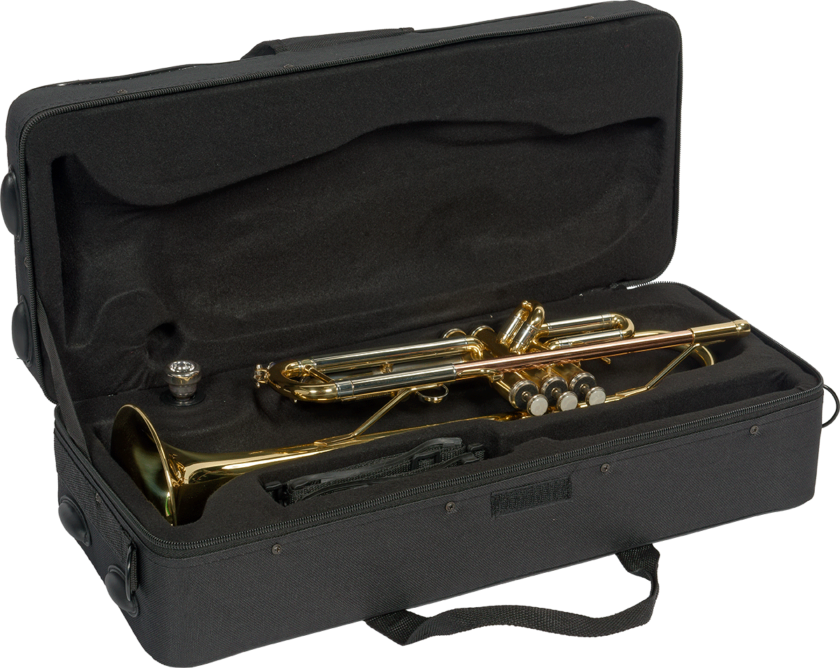 TP300 BB TRUMPET BRASS LACQUERED - ROSE BRASS LEADPIPE