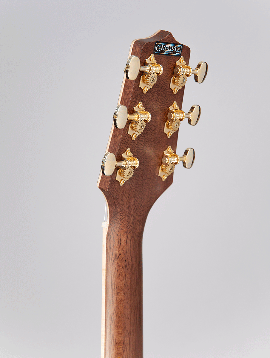GD90 Dreadnought Cutaway Electric-Acoustic RW Natural