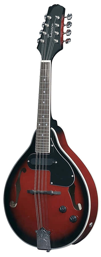 Folk-Mandolin A-1E Black Cherry