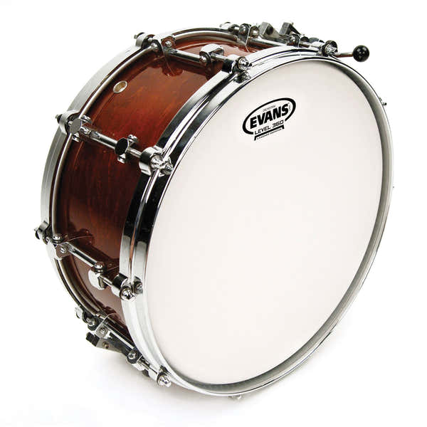 Evans B14GCS - ORCHESTRAL COATED 14