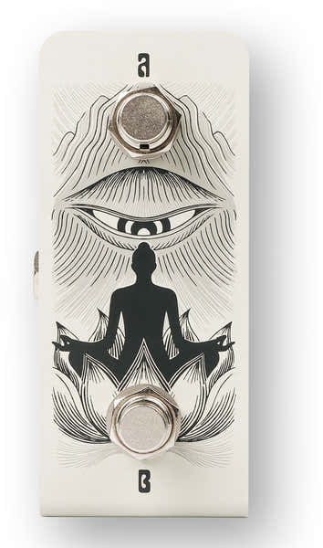 Anima Dual Footswitch