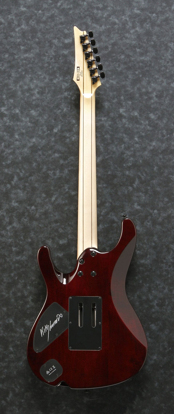 KIKO10BP-TGB Transparent Gray Burst Signature Kiko Loureiro Premium