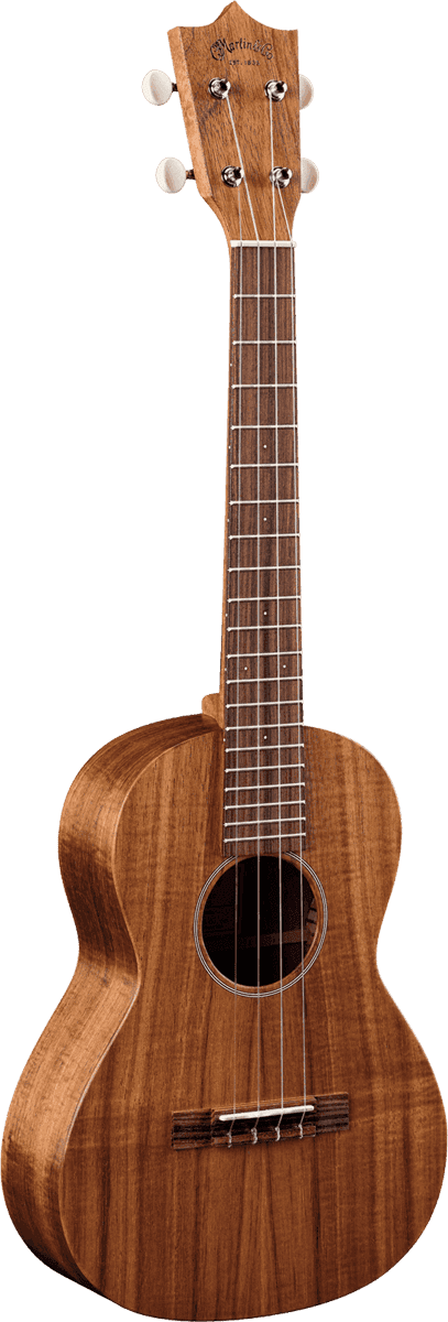 T1K Koa