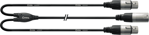 Y-CABLE XRL MALE / 2 XLR FEMALE 30 CM
