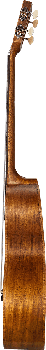 Natural Electro Baritone + Gig Bag