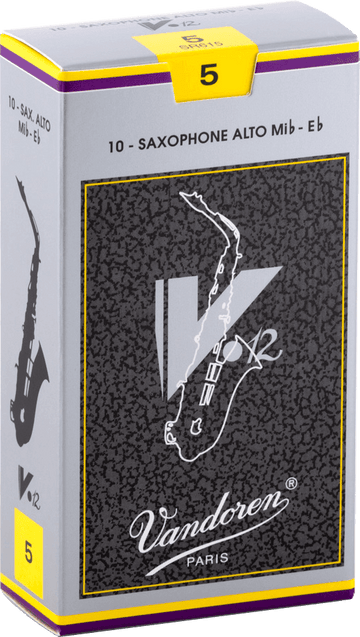 V12 5 - SR615