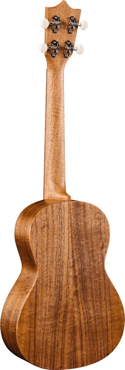T1K Koa