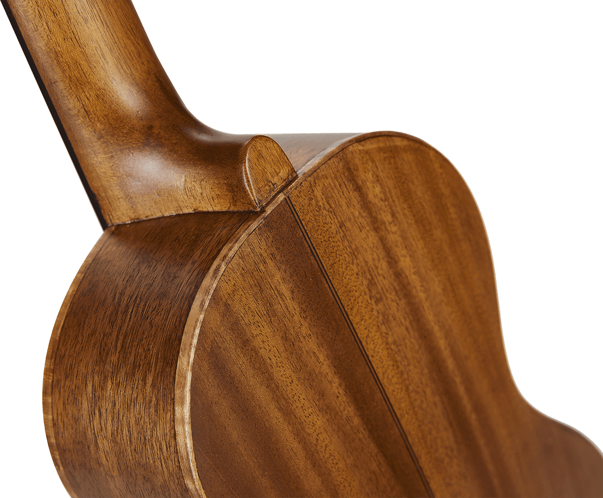 Natural Tenor + Gig Bag