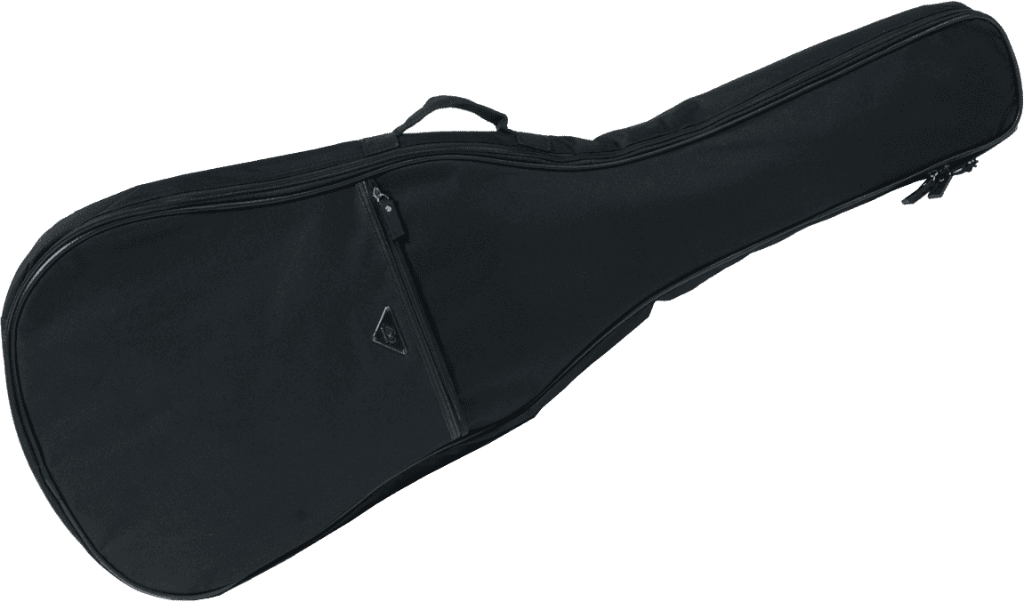30AS Auditorium Slim Gig Bag