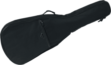 30AS Auditorium Slim Gig Bag