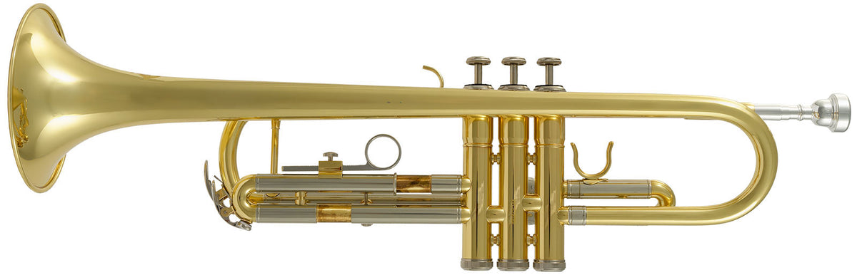 WTP200 - Bb Vernished