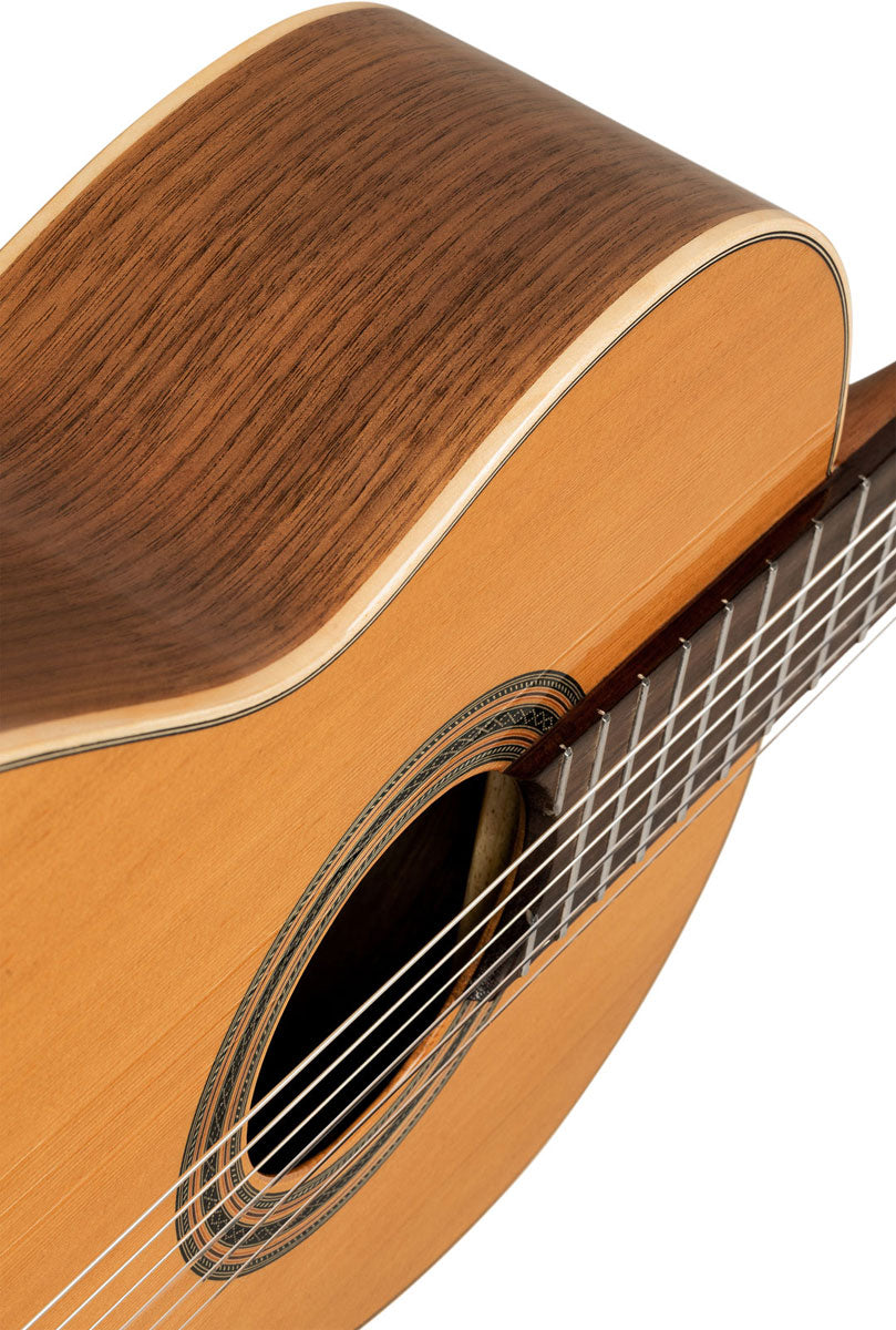 Traditional 4/4 + Pro Gig Bag