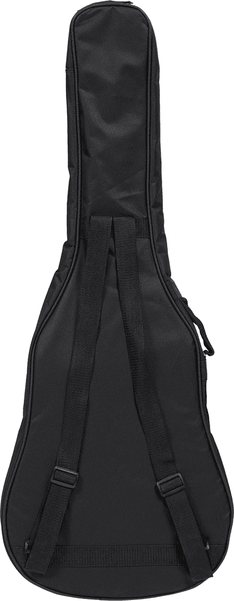 30AS Auditorium Slim Gig Bag