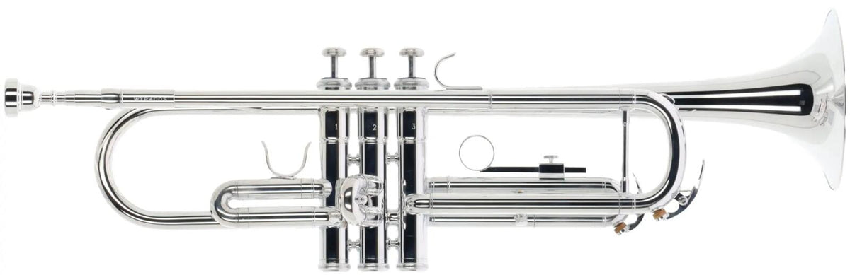 Woodbrass WTP400S - Bb Silver-Plated