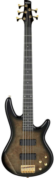 Ibanez GSR205PCTPB Transparent Pale Black Burst