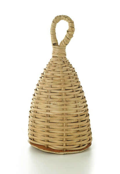 Yoman MC006 - CAXIXI PALM SEEDS - MOYEN