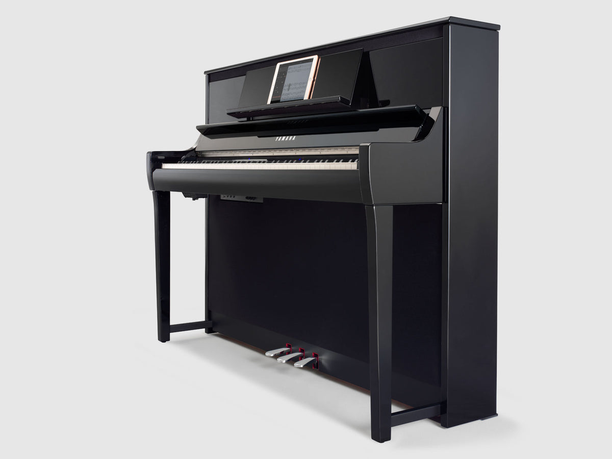 CSP295 Polished Black
