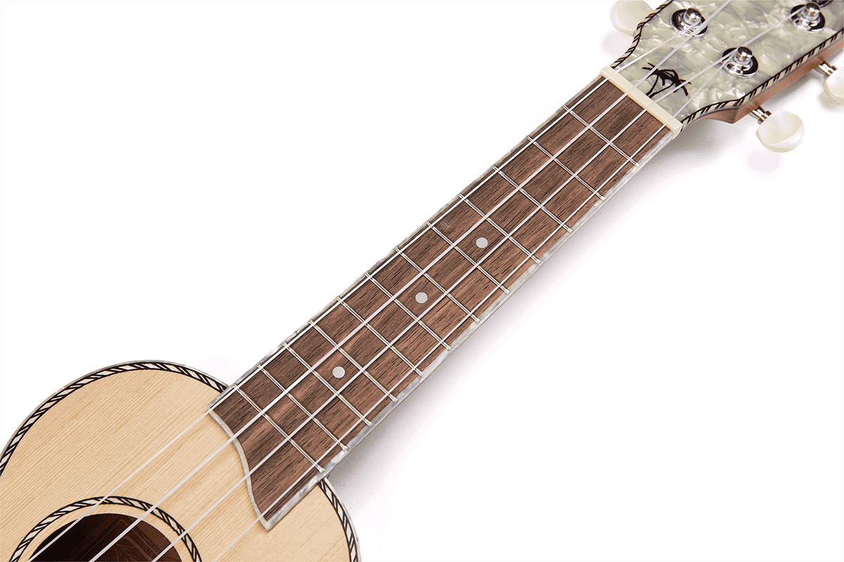 Soprano Electro Natural Pearloid Head + Cover