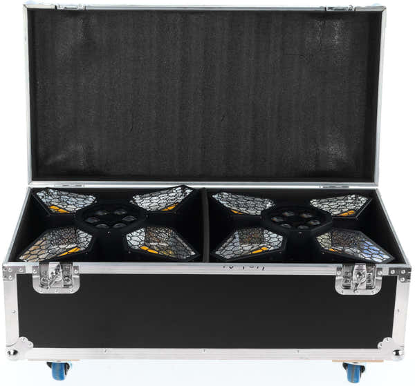 Algam Lighting Flight Case for Vintage Flower FC2