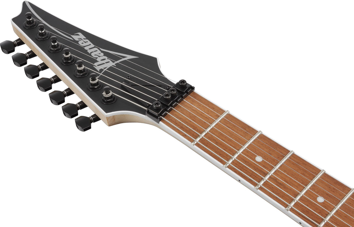 RG7420EX-BKF Black Flat