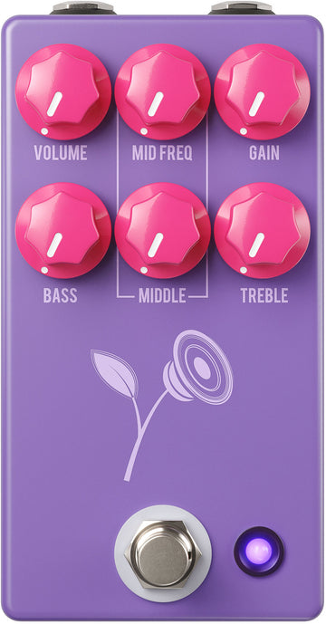 VIOLET DISTORSION LARI BASILIO - Purple