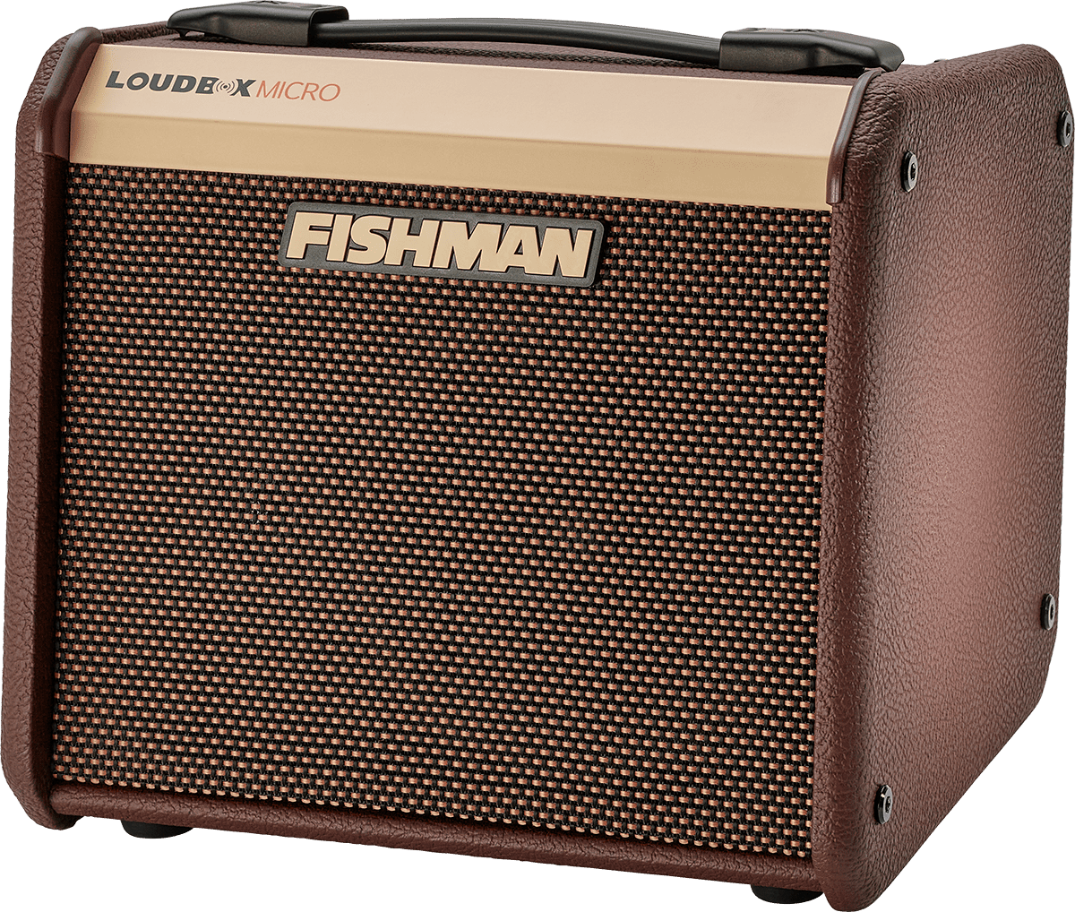 Loudbox Micro 40W