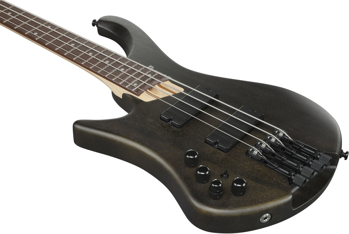 EHB6L Bass Workshop LTD Edition LH Walnut Flat