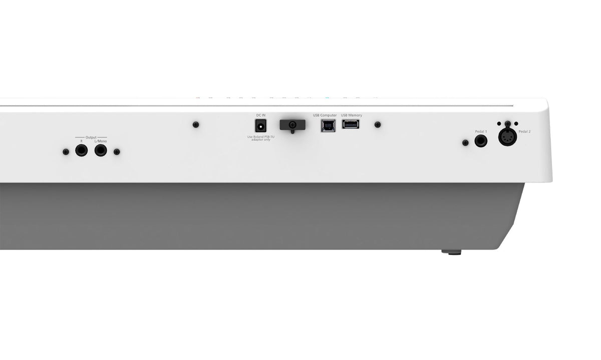 FP-30X White