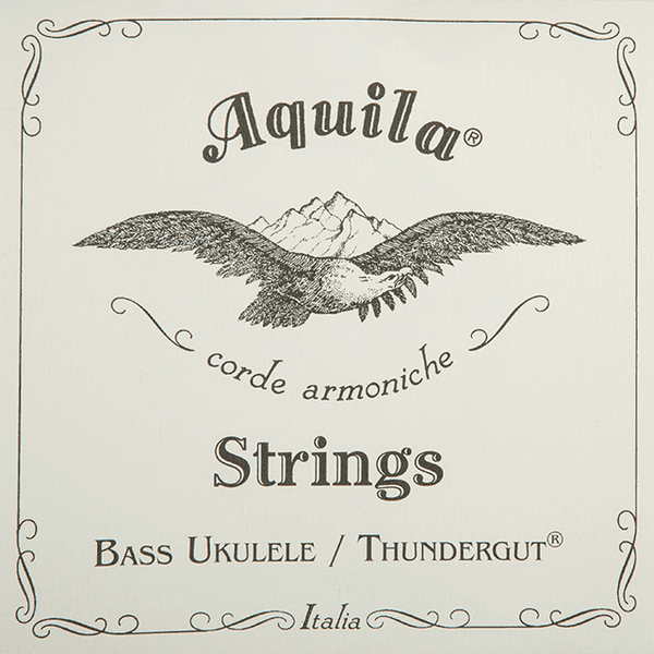 THUNDERGUT 5 STRING BASS UKULELE SET B-EADG