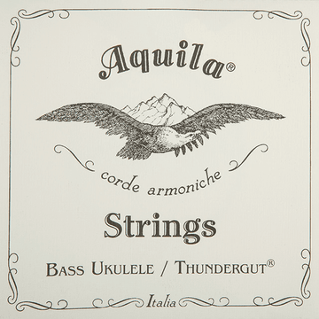 THUNDERGUT 5 STRING BASS UKULELE SET B-EADG