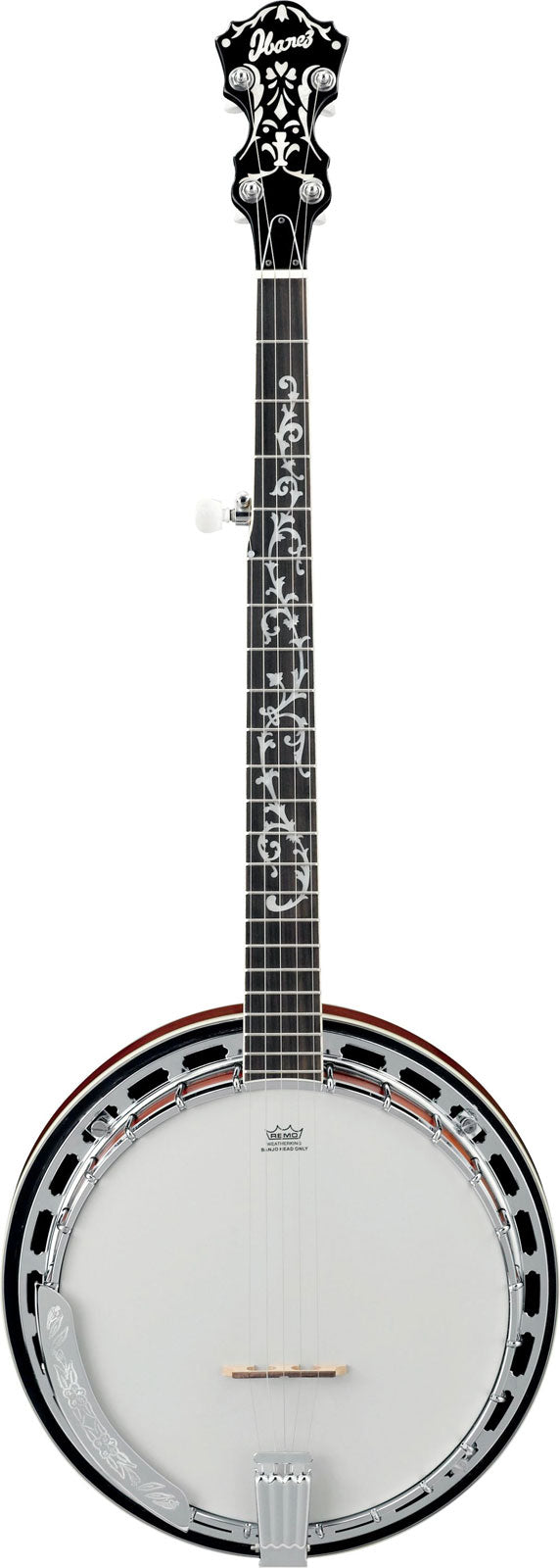 Ibanez Traditional instruments