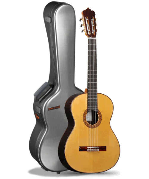 Professional M & M Flamenco Cypress + Case 9568