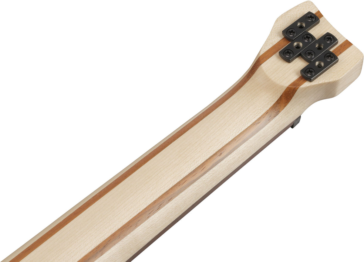 EHB6L Bass Workshop LTD Edition LH Walnut Flat