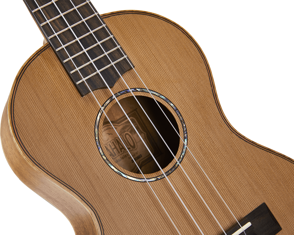 Natural Electro Tenor + Gig Bag