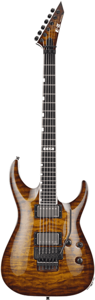 2Hori2Fr-Tesb Sunburst