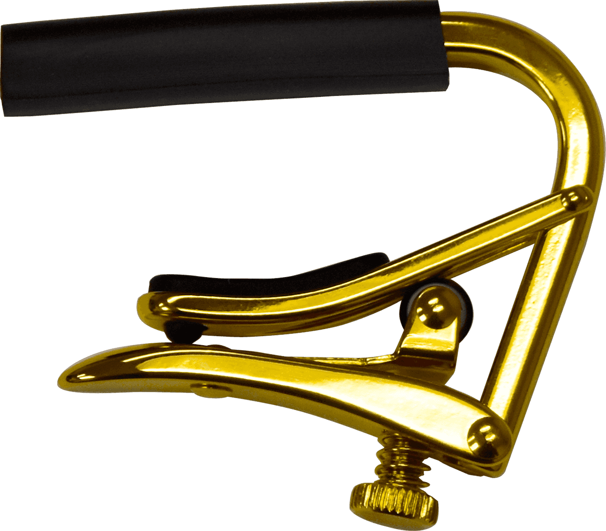 Gold Acoustic/Electric