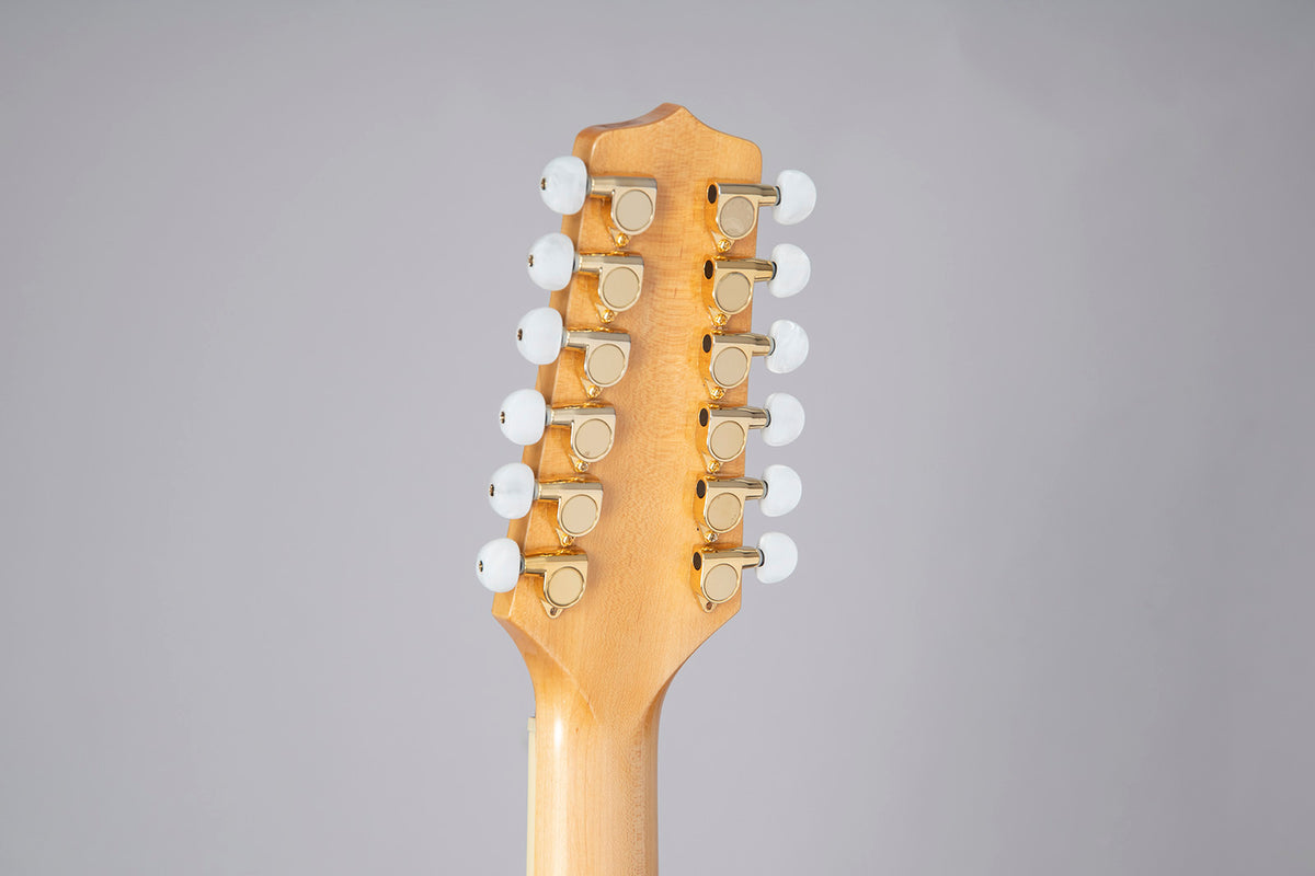 GD74CE-12 Dreadnought Strings Natural
