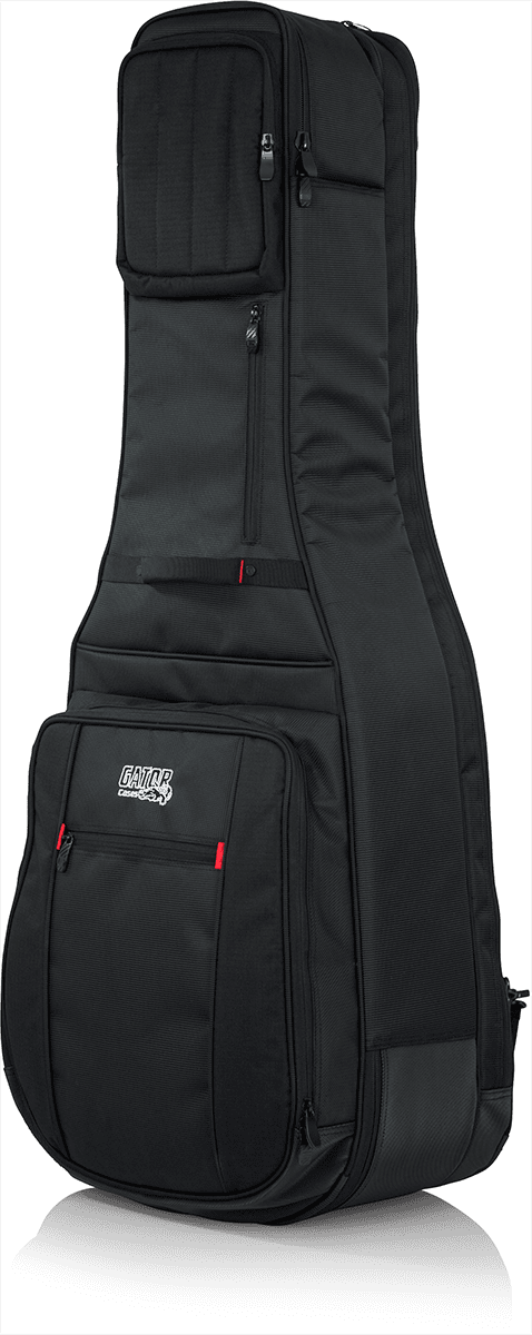 Electric + Folk Double Gigbag - ProGo