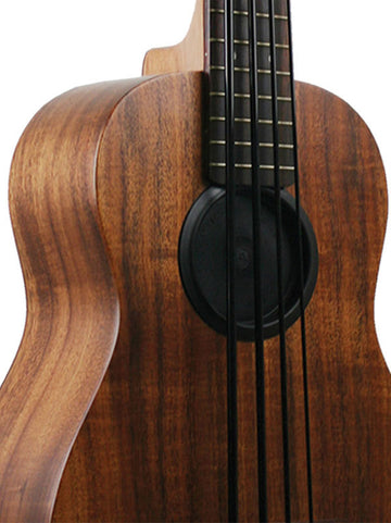 Feedback Freezer for U-Bass Anti-Feedback