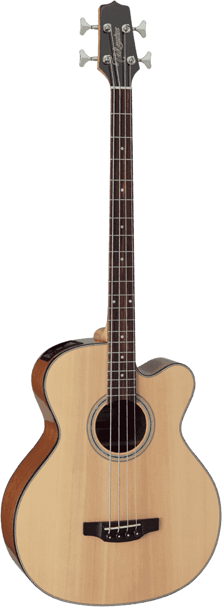 Takamine Acoustic Basses