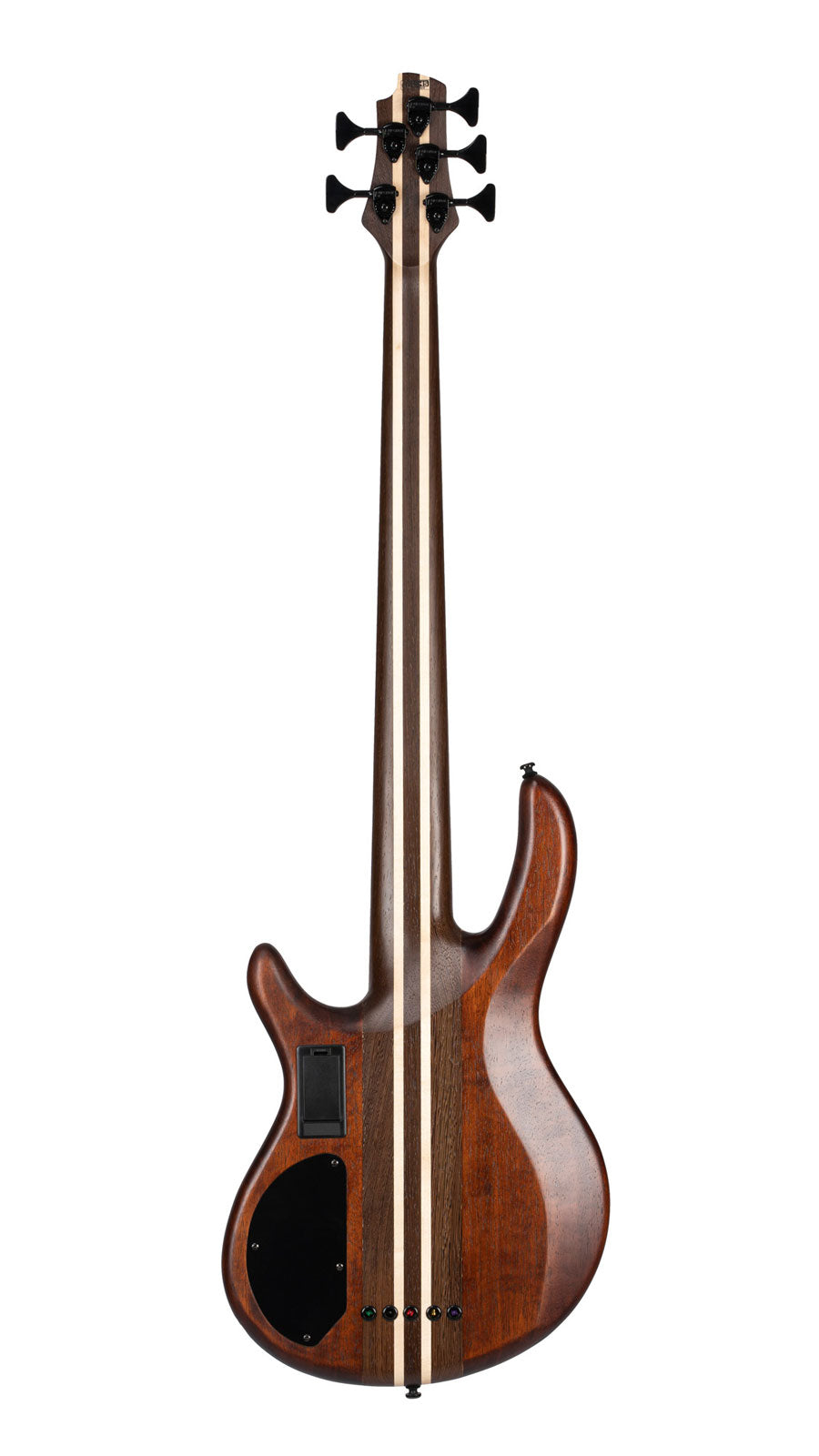 Bass A5 Ultra Ash Fishman Pickups