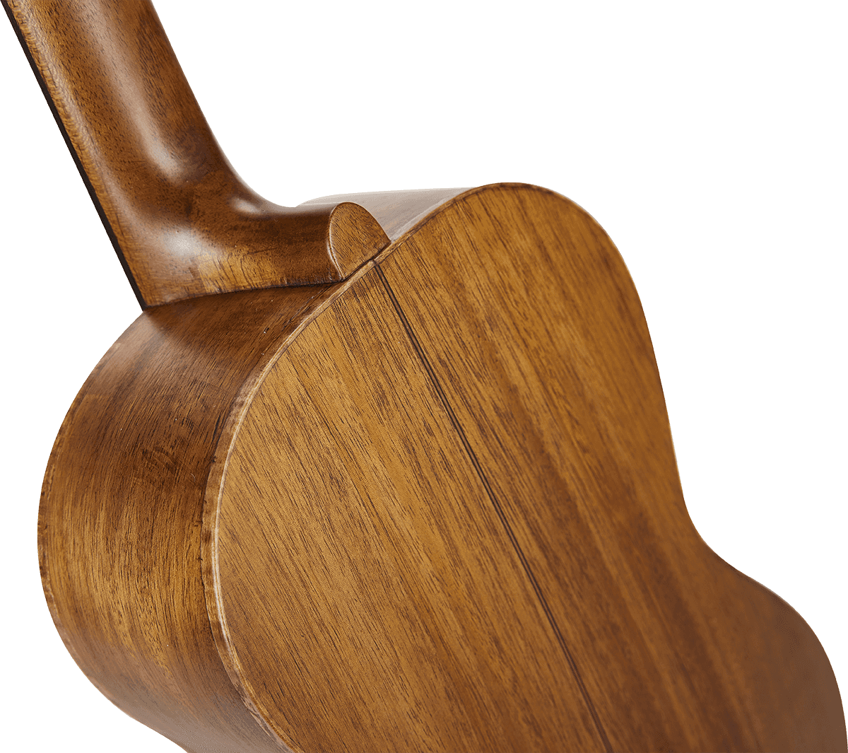 Natural Electro Baritone + Gig Bag