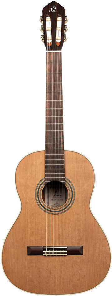 Traditional 4/4 + Pro Gig Bag