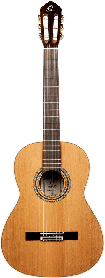 Traditional 4/4 + Pro Gig Bag